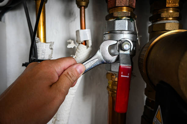 Best Clogged Drain Plumber  in West Deland, FL